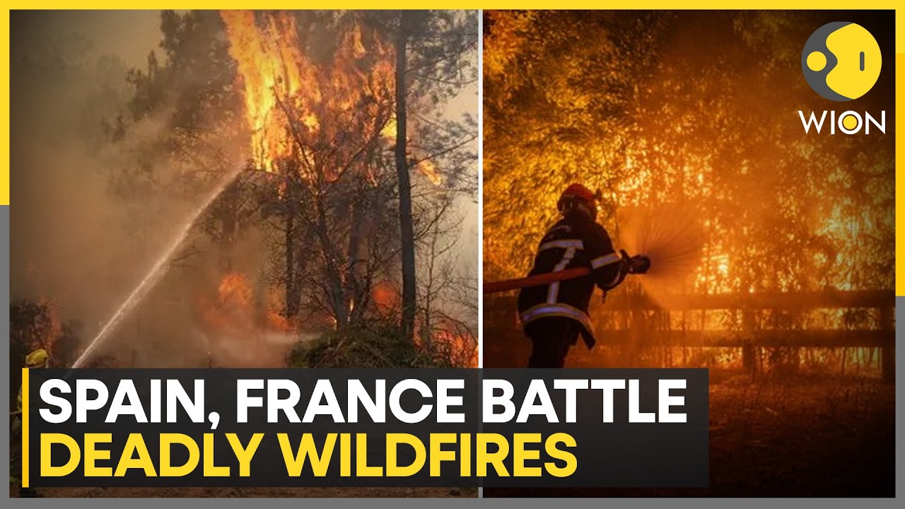 Europe Wildfires Rage On | Spain and France Battle Deadly Blazes | Thousands Evacuated