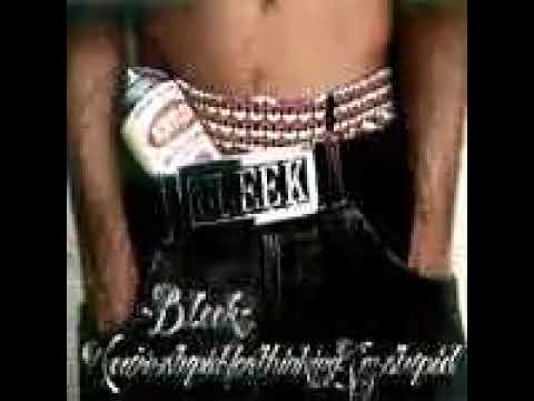 Bleek - You're Stupid For Thinking I'm Stupid (2006)