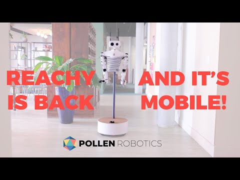 Anyone built a Reachy (telepresence robot)?