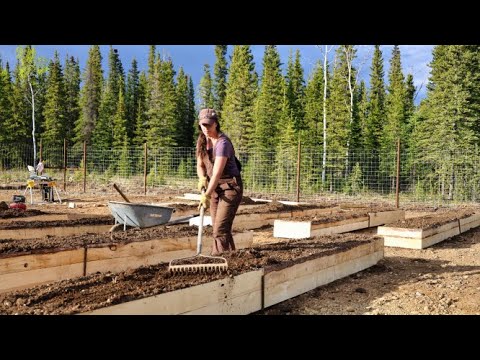 Raised Beds for the Garden | Moose Proof Fencing Built to Last
