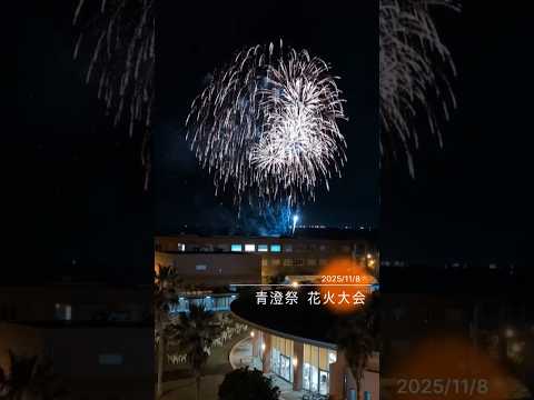 看護学科 【大学景色】青澄祭 花火大会 #花火 #学園祭 #薬学部 #危機管理学部 #看護学部