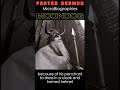 Moondog: The Viking of 6th Avenue