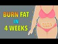 FAT BURNING WORKOUT TO GET IN SHAPE IN 4 WEEKS FULL BODY STRENGTH EXERCISES