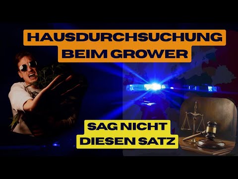 Cannabis is legal in Germany: rights, penalties, police & EU comparison | What every grower MUST ...