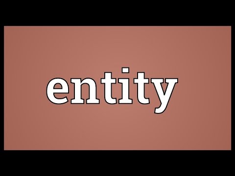 Entity Meaning
