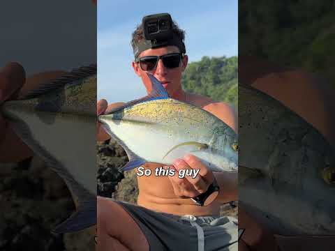 Doesn't Get Any Fresher Than This