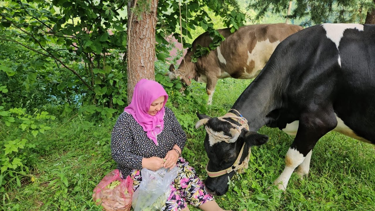 ‼️OĞLUMUN ELLERİNE SAĞLIK 🥰 MUTFAĞIMDA HUZURLU ÇALIŞIYORUM YAPRAK BEZELYE KIZARTTIM‼️🔥