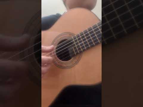 Steve Allen Solid Granadillo and Cedar classical guitar image 22