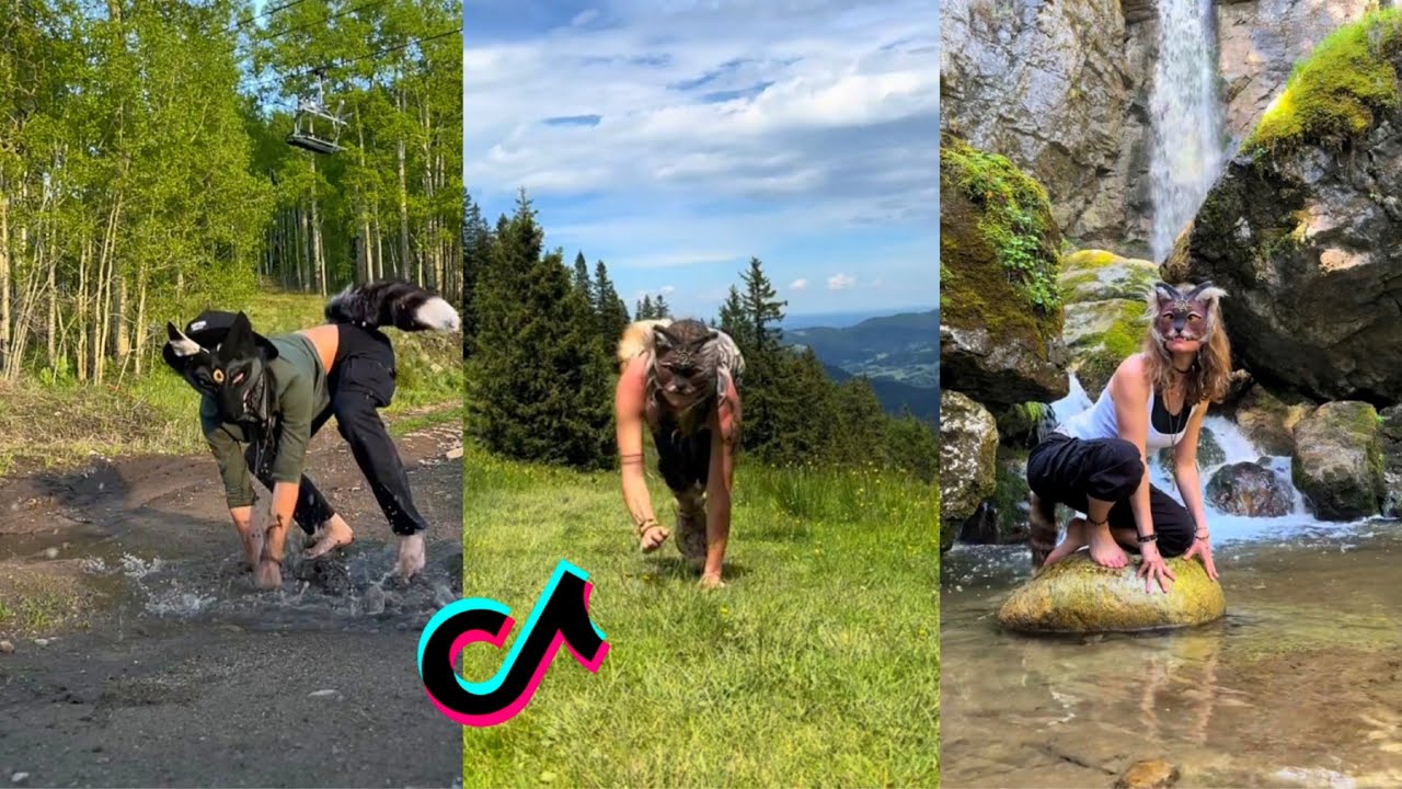 Therian TikTok Compilation #5😻