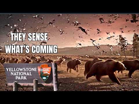 6 National Park Mysteries No One Can Explain (But They Keep Happening)