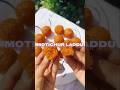 Motichur K Laddu Bundi K Laddu By Shagufta Faraz Recipe Food Bollywood Hindisong Latestrecipe