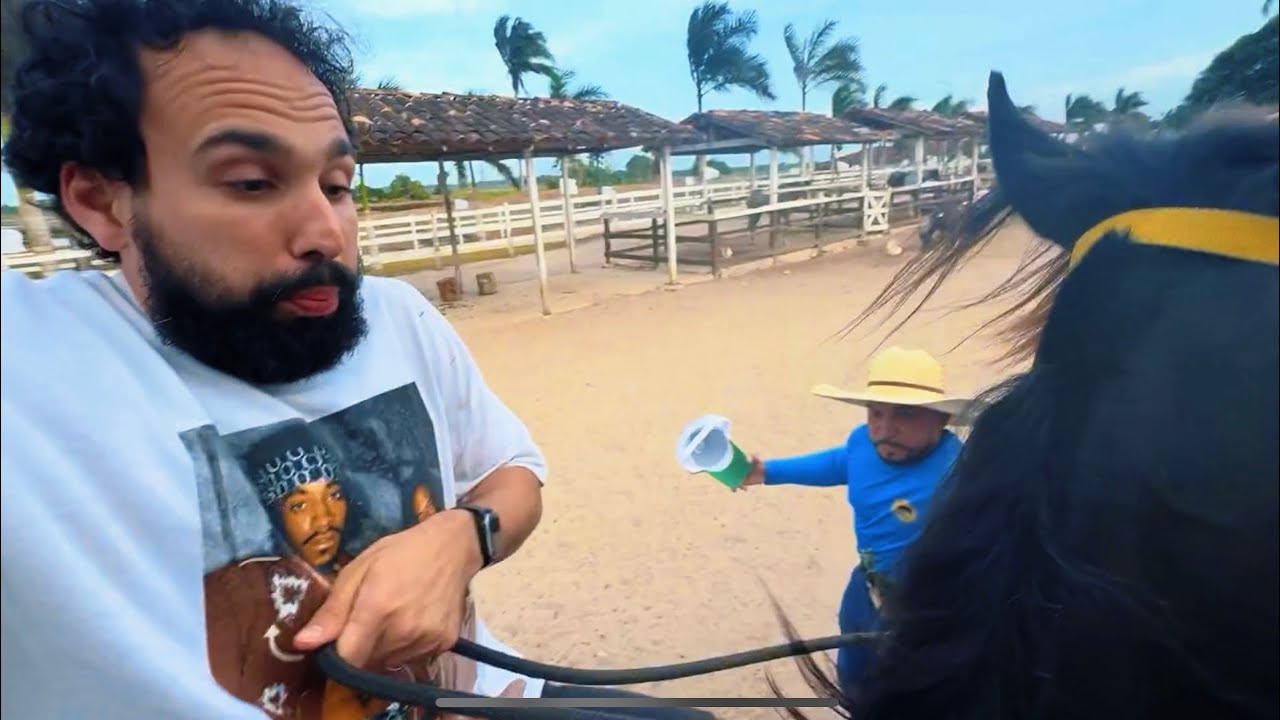 Caí do cavalo no último vídeo do ano! Retrospectiva 2024 🐦‍🔥