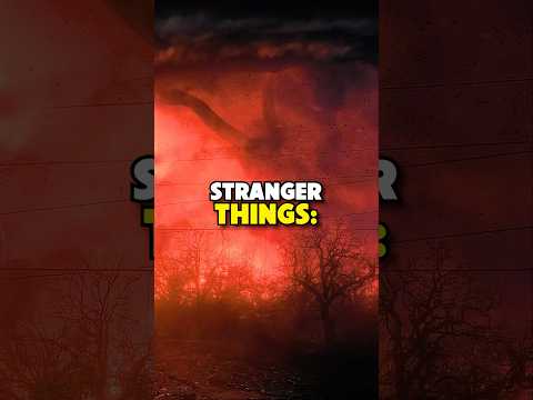 Did you know in STRANGER THINGS: SEASON 2 EPISODE 1…