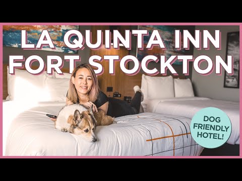德州斯托克頓堡的新愛狗酒店。La Quinta Inn & Suites by Wyndham Northeast（東北部昆塔酒店及套房）。 (New Dog-Friendly Hotel in Fort Stockton, Texas: La Quinta Inn & Suites by Wyndham Northeast)