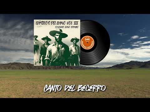 Canto del Becerro - Conjunto Llano Adentro | Instrumental Llanero 🐮🎻