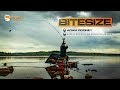 Feeder Fishing In Ireland Guru Bitesize 011
