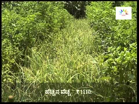 Integrated management practices for Snstainaible food Security - Kannada
