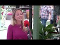 Floriade: Wat is er te zien in The Green House?