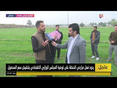 مراسل عراق 24: مزارعو الحنطة في قضاء أبو غريب يخفضون المساحات من 400 إلى 3 دونمات بعد تخفيض السعر. لمشاهدة الفيديو كامل ادناه 