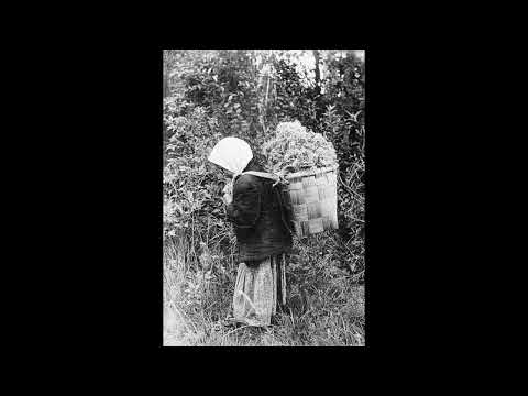 Измученный, истерзанный, народная песня  Исп  Д Ершов и гармония Баян  1913