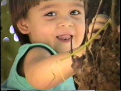 Visita aos familiares em Santa Catarina em 1990