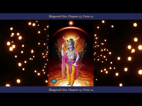 Bhagavad Gita - Kapitulli 15 _ Vargu 14