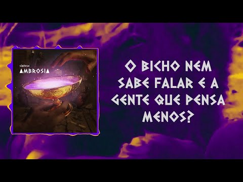 Video thumbnail for Carta aos Caçadores de Leões
