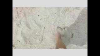 Download lagu Aliando prilly MV COVER 'MENEMUKANMU' mp3