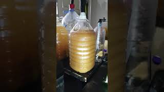 Apple Lychee Hard Cider Home Brew Day 2 Champagne Yeast Alcohol Production Australia Blow Off Tube