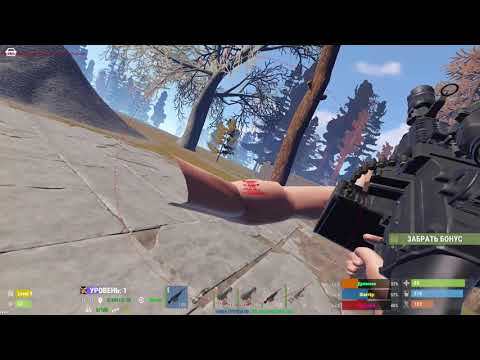 BirdHack Beta Cracked Rust DB133