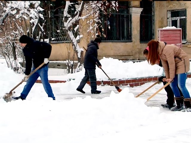 Добра много не бывает