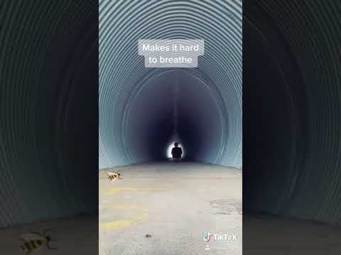 SkipChoir - Royal & the Serpent - Overwhelmed (Cover)