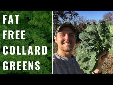 Fat Free Collard Greens (Vegan, WFPB)