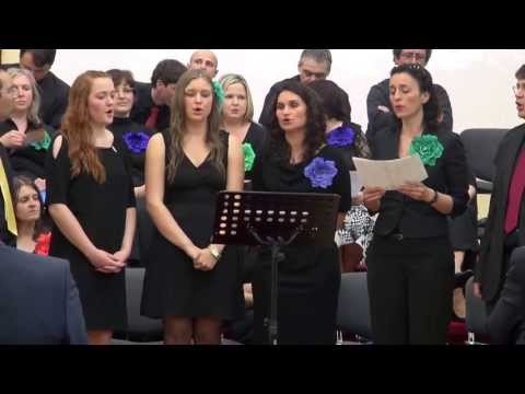 Grup mixt Nurnberg - Groß und wunderbar