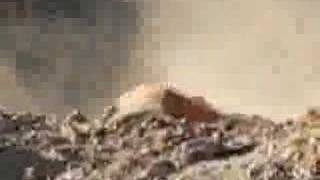 Pumpkin's final words