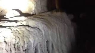 Hunting arrowheads with Hamp