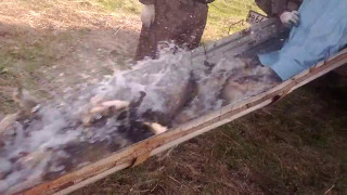 Рыбалка в сухой липовице тамбовская область
