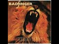 BADFINGER - MOONSHINE