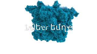 John Gibbons - A Spaceman Came Travelling