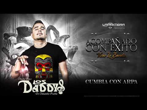 4. CUMBIA CON ARPA - CHUCHO PONCE LOS DADDYS DE CHINANTLA