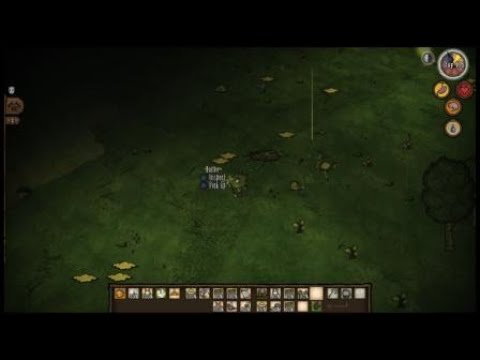 DST Solo Wurt vs Bee Queen (no merms)