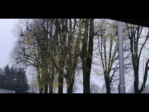 NACpraat 7 12 2017 Vooruitblik Willem II - NAC