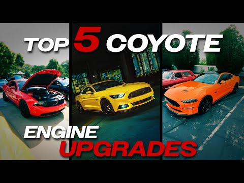 Affordable Coyote Mods That Add Real Power! | Budget Mustang & F-150 Upgrades