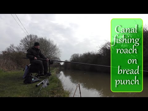 Canal fishing - roach on breadpunch with Andrew Bolderson - Adrenaline-Rush