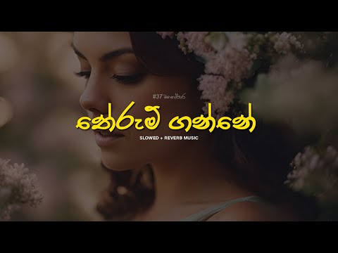 Therum Ganne (තේරුම් ගන්නේ) - Slowed + Reverb Version | Ishan Priyasanka - තේරුම් ගන්නේ කවද ද ඔබ මා