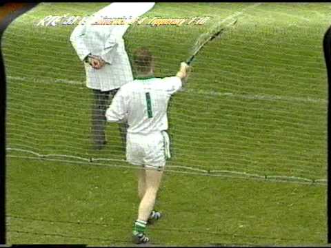 Munster Senior Hurling Final 1996 (4 of 8)