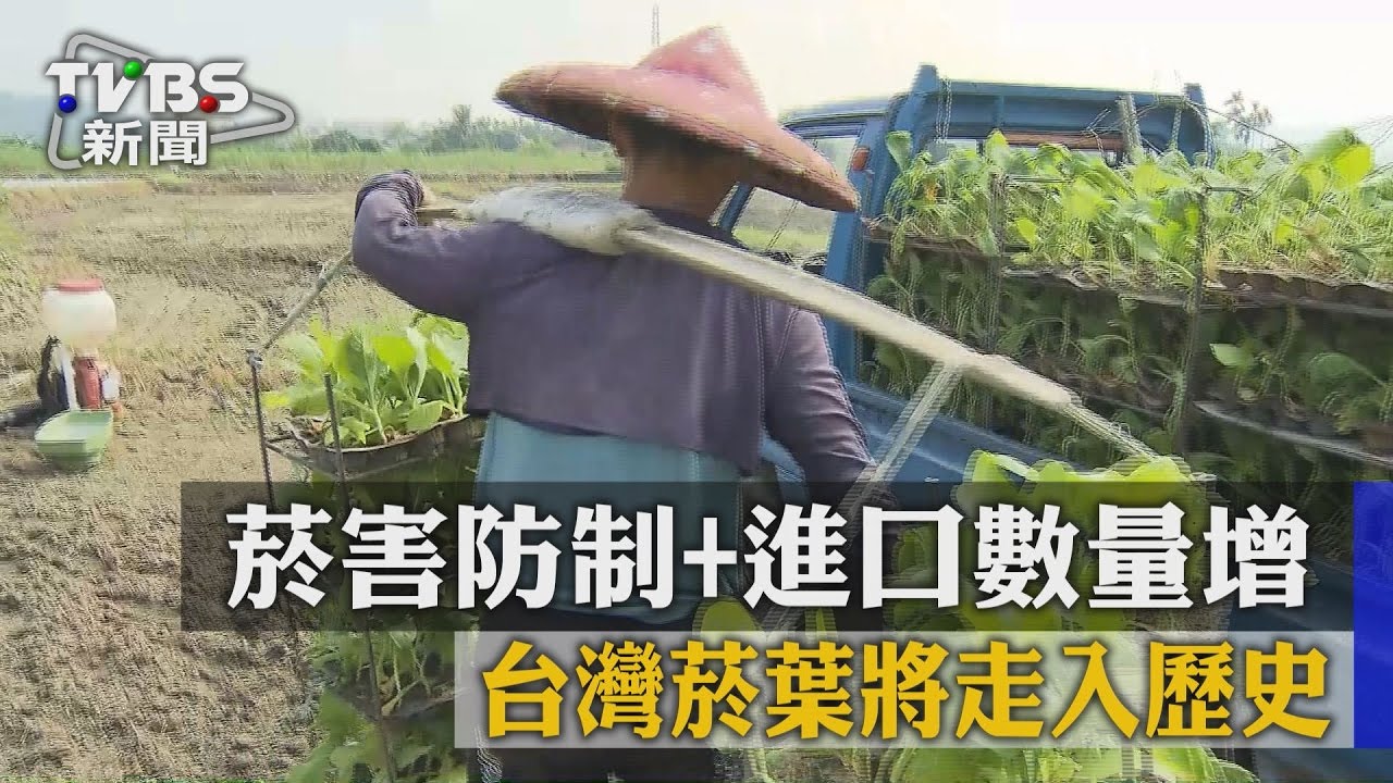 菸害防制、進口數量增　台灣菸葉將走入歷史