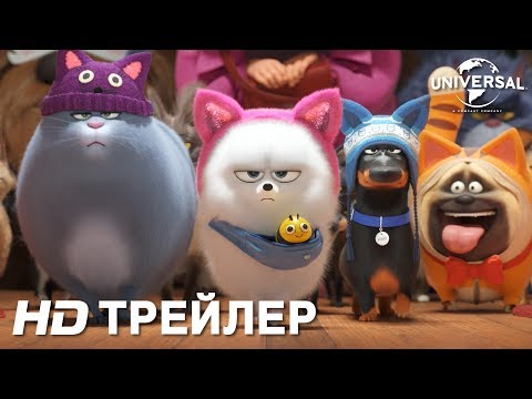 Трейлер