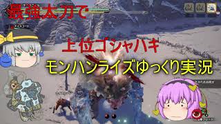 【モンハンライズ】静電気体質のモンハンライズ＃１【ゆっくり実況】