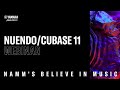 NAMM 2021 - Believe in Music - Nuendo / Cubase 11 NAMM 2021 - Believe in Music - Nuendo / Cubase 11